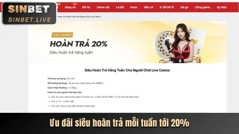 Hoàn trả hàng ngày bắn cá Vin88